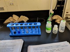 化工廠儲物柜密碼轉(zhuǎn)舌鎖哪種好？高環(huán)境適應(yīng)性鎖具推薦